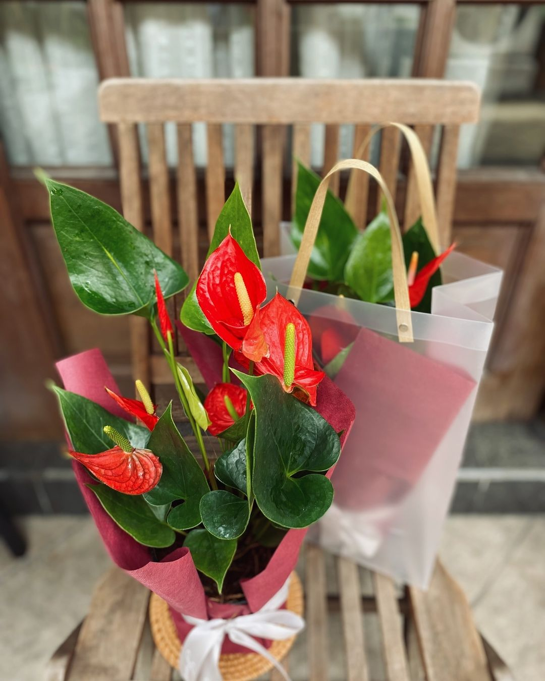 When choosing the plant, we recommend you choose the one that has an aesthetic side just like this red anthurium.