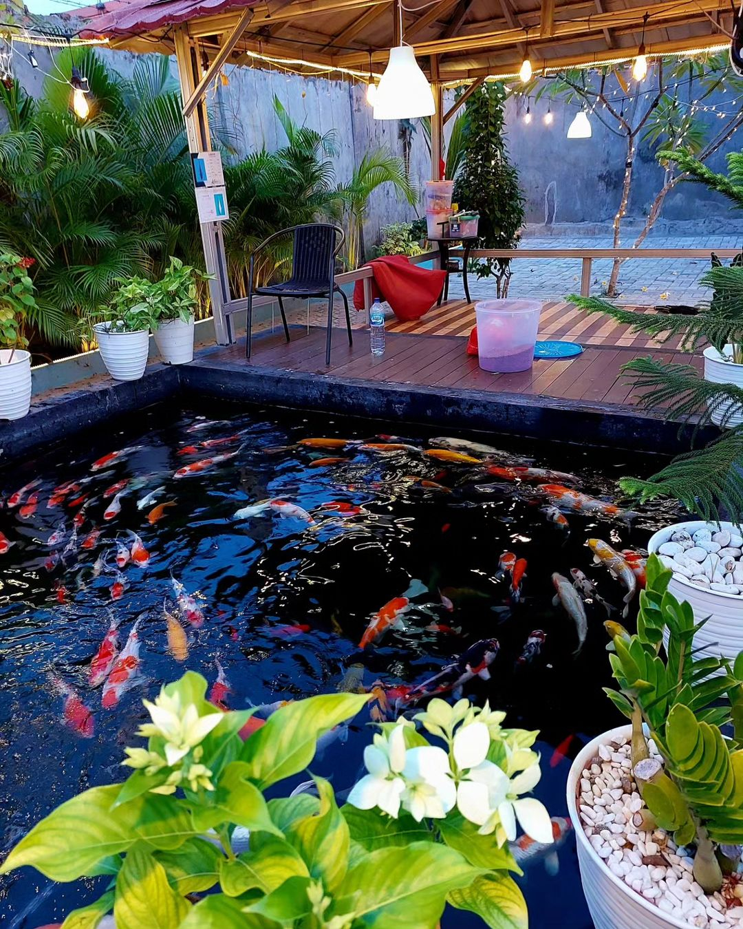 If you look at this pond, you will see that there are no plants or stones added to the pool.