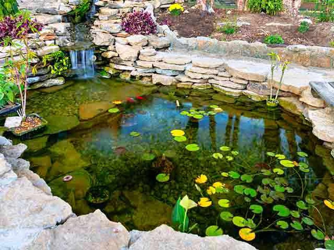 This one is such a complete water pond. You can see it from the features this pond has.