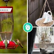 Bird feeder ideas to attract the hummingbird to come to your gardenfi