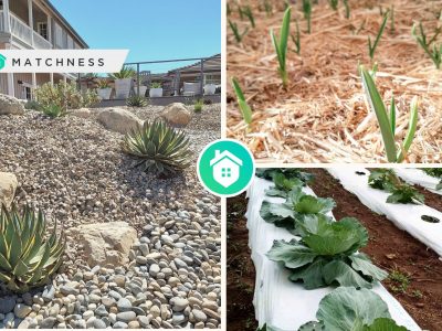 Comprehensive guide for the best mulching technique to your plantsfi