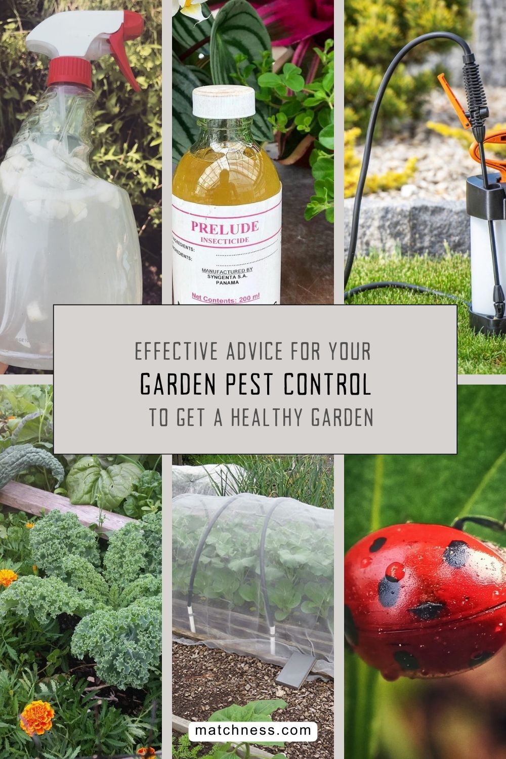 Effective advices for your garden pest control to get a healthy garden