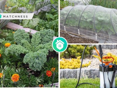 Effective advices for your garden pest control to get a healthy gardenfi