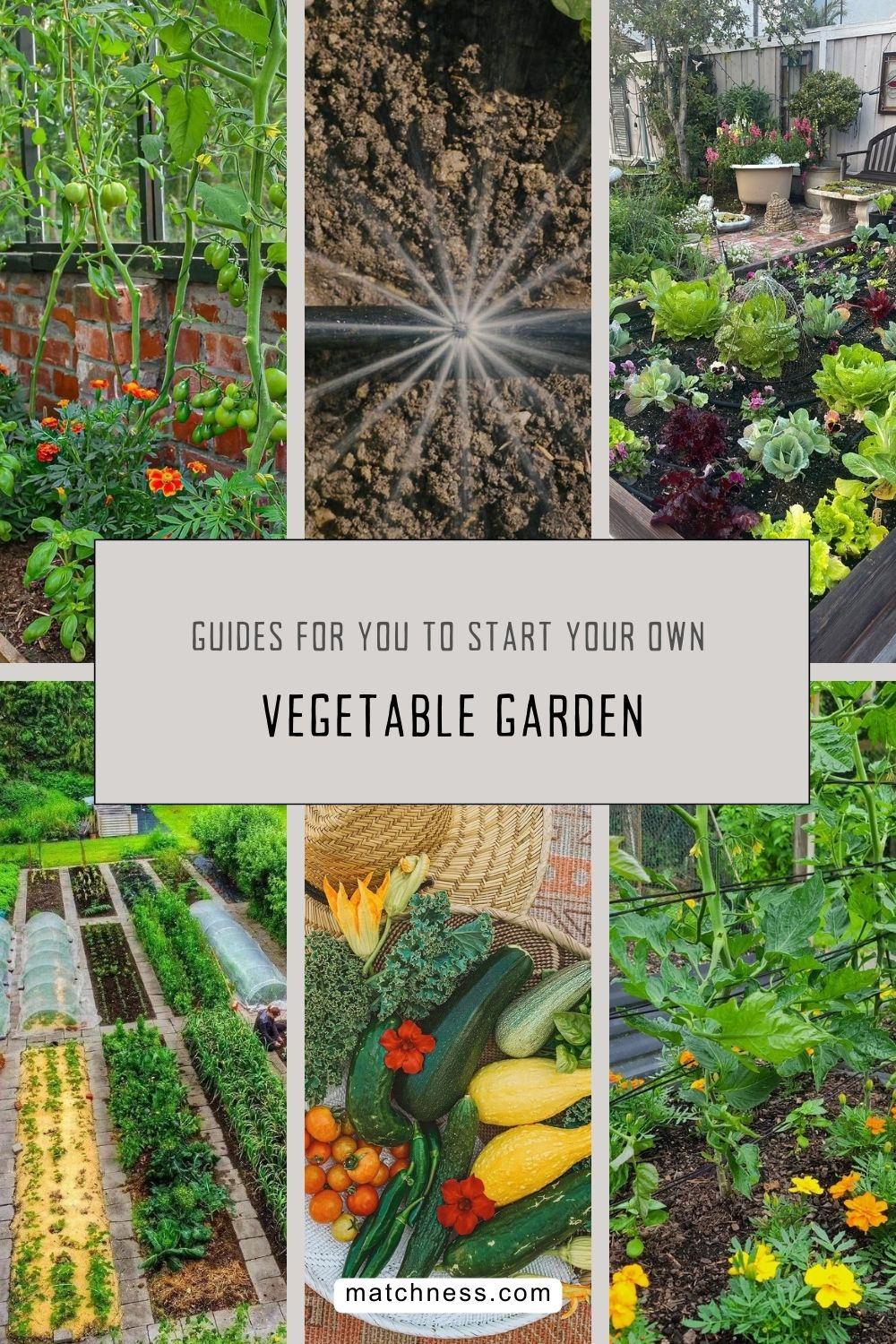 Guides for you to start your own vegetable garden