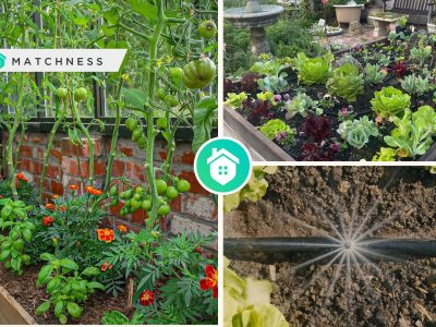 Guides for you to start your own vegetable gardenfi
