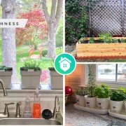 Herb garden ideas- the ways and kinds to get the proper onefi