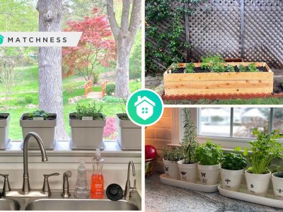 Herb garden ideas- the ways and kinds to get the proper onefi