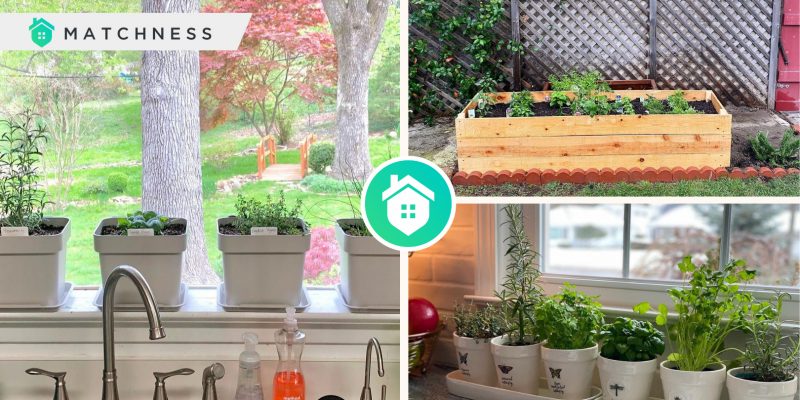 Herb garden ideas- the ways and kinds to get the proper onefi