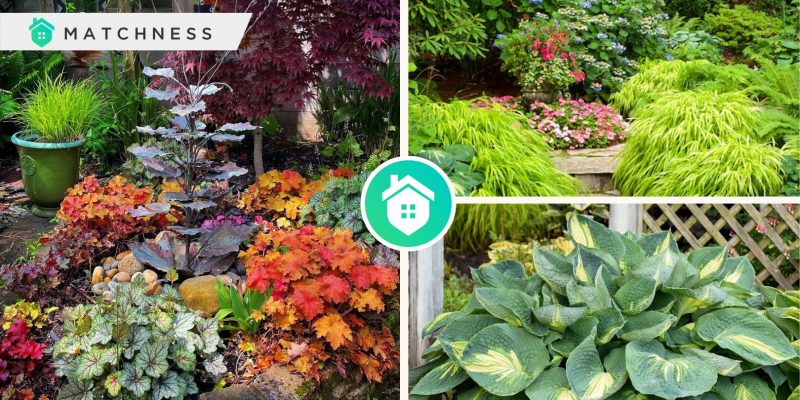 How to deal with shade garden decoration in an effective wayfi