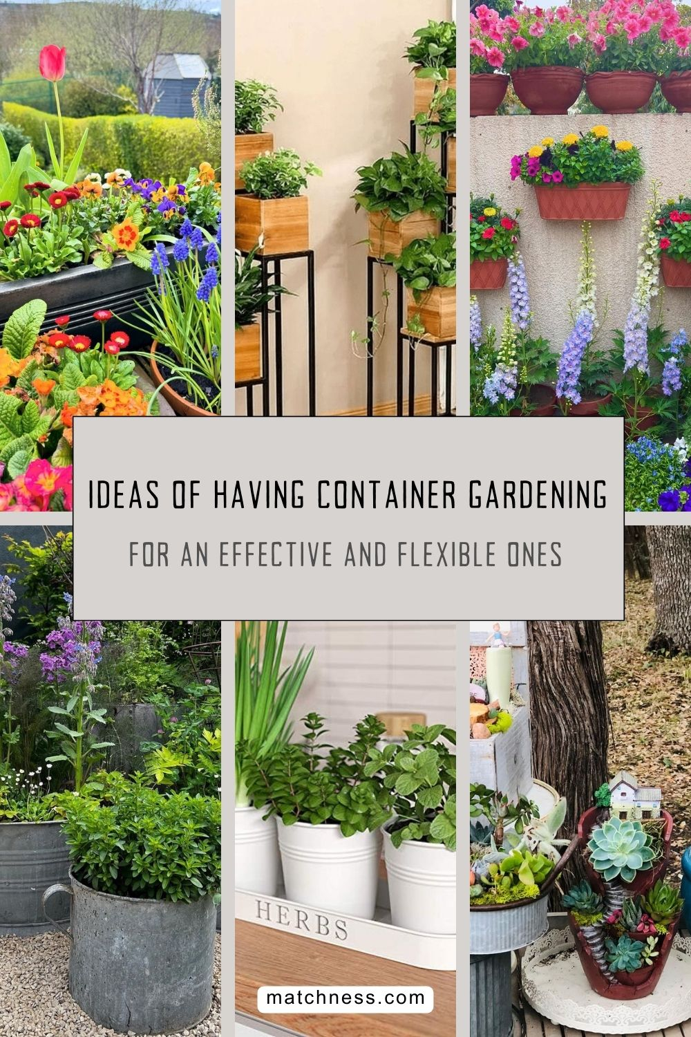 Ideas of having container gardening for an effective and flexible ones