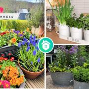 Ideas of having container gardening for an effective and flexible onesfi