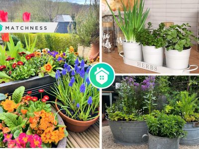 Ideas of having container gardening for an effective and flexible onesfi
