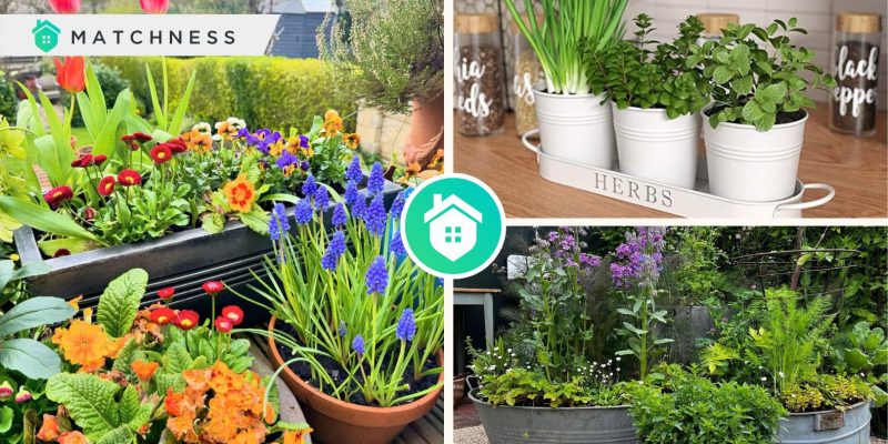 Ideas of having container gardening for an effective and flexible onesfi