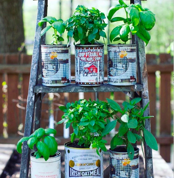 The cans with their own brands and colors make this herb garden aesthetic. 