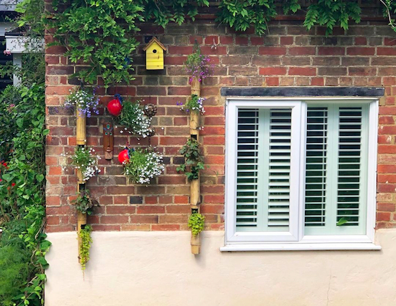 There is a yellow birdhouse on the wall. Then, you can see the red round shapes on the wall which are the bird feeder themselves. 