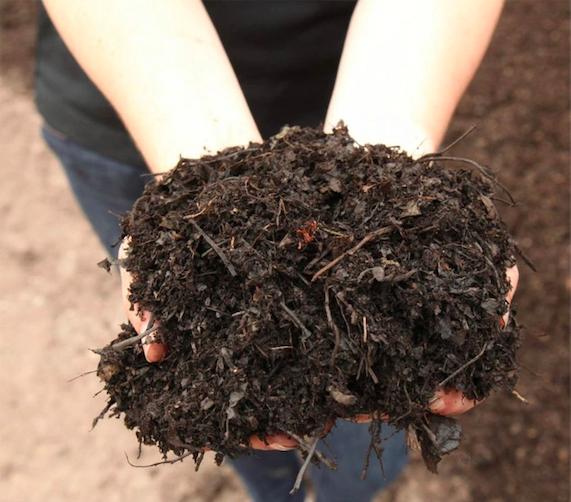 The leaf mold mulch is like the compost mulch. The process of the mulch making is also quite the same.