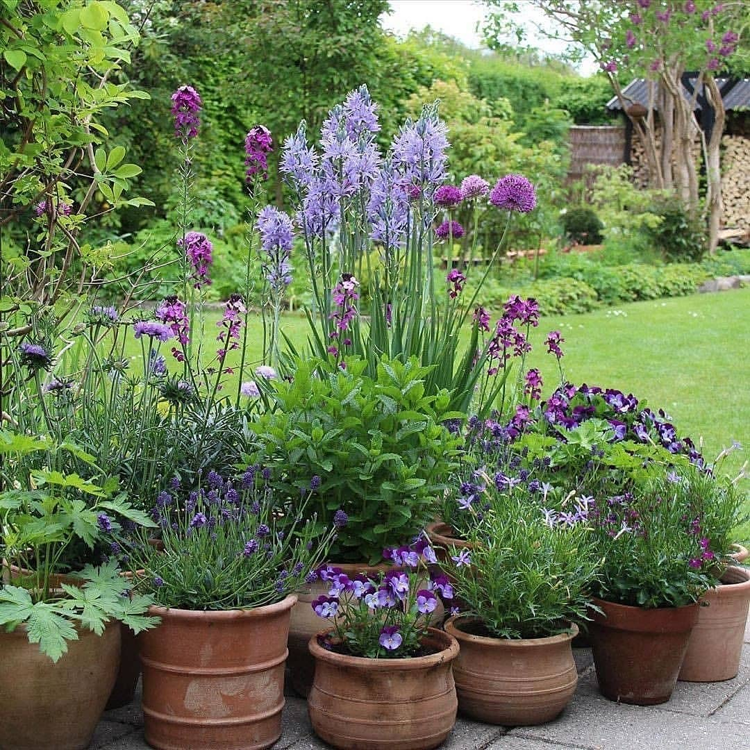 This garden has the same planter material which is the terracotta.