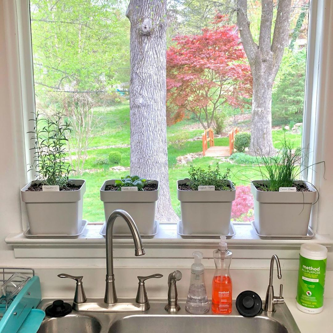 If you have a window with good sunlight exposure, then this is the best way to grow the herbs. 