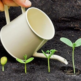In doing the close watering technique, you should consider the watering can that you will use.