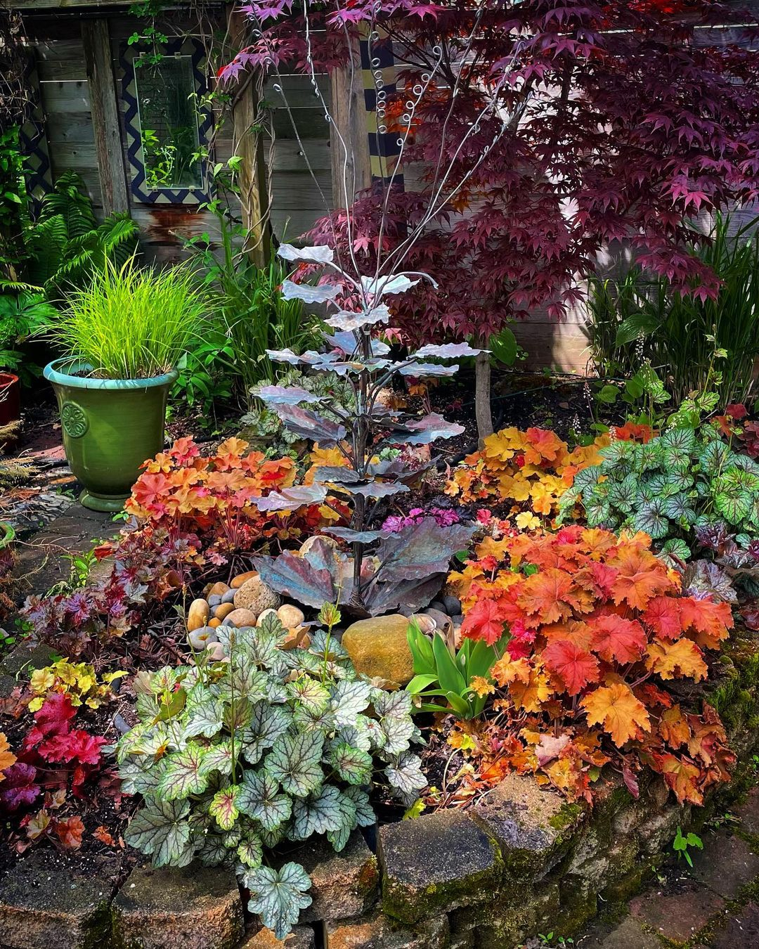 It is interesting how the heuchera offers vibrant foliage colors, from deep purples to bright greens.