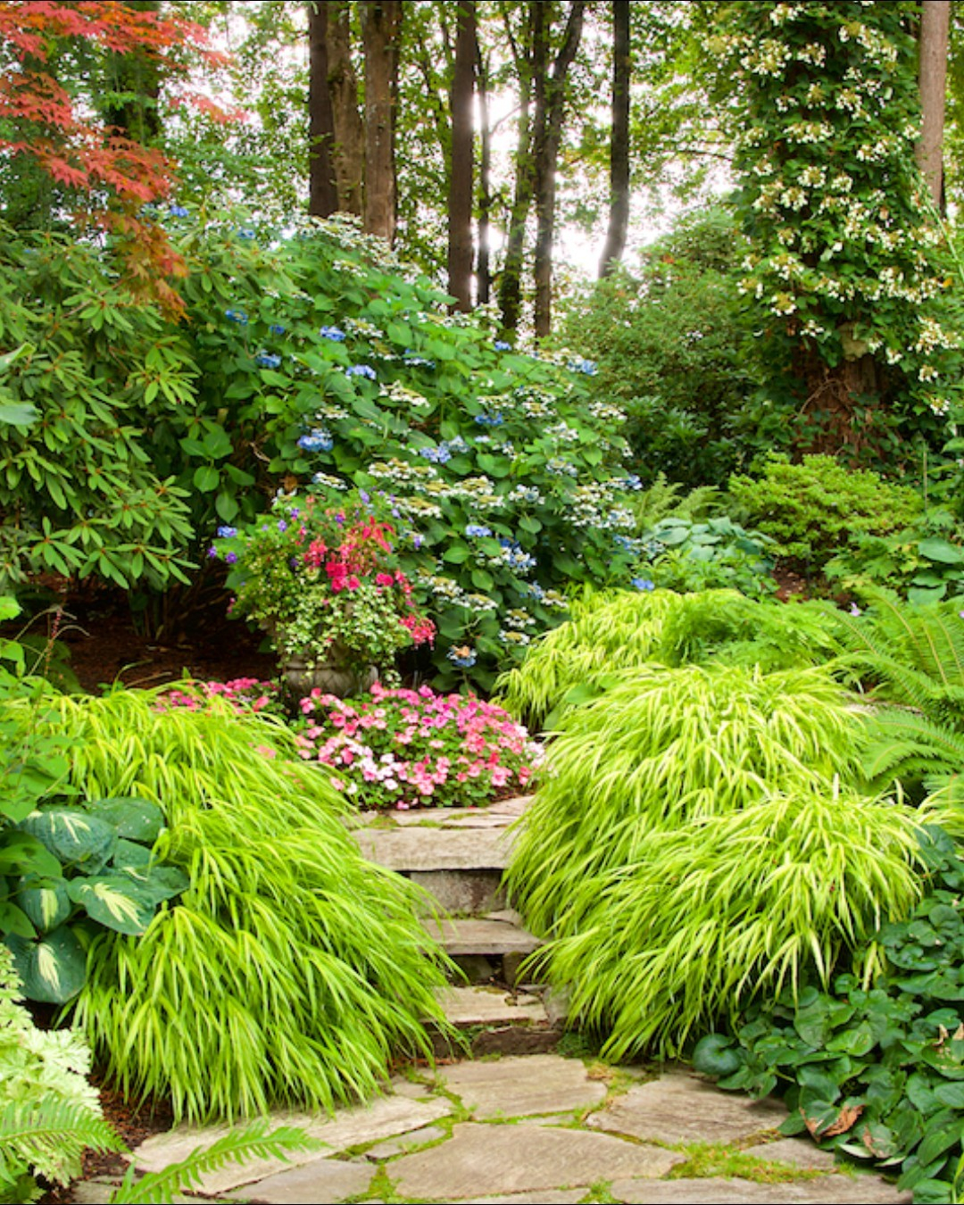 Use plants with different leaf shapes, sizes, and colors to create visual interest.