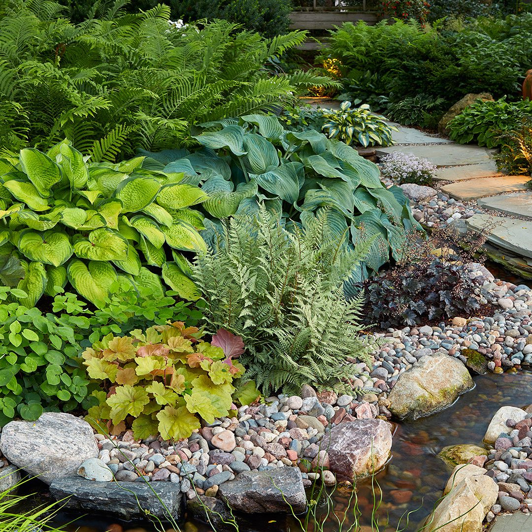 Arrange plants in layers to add depth and interest.
