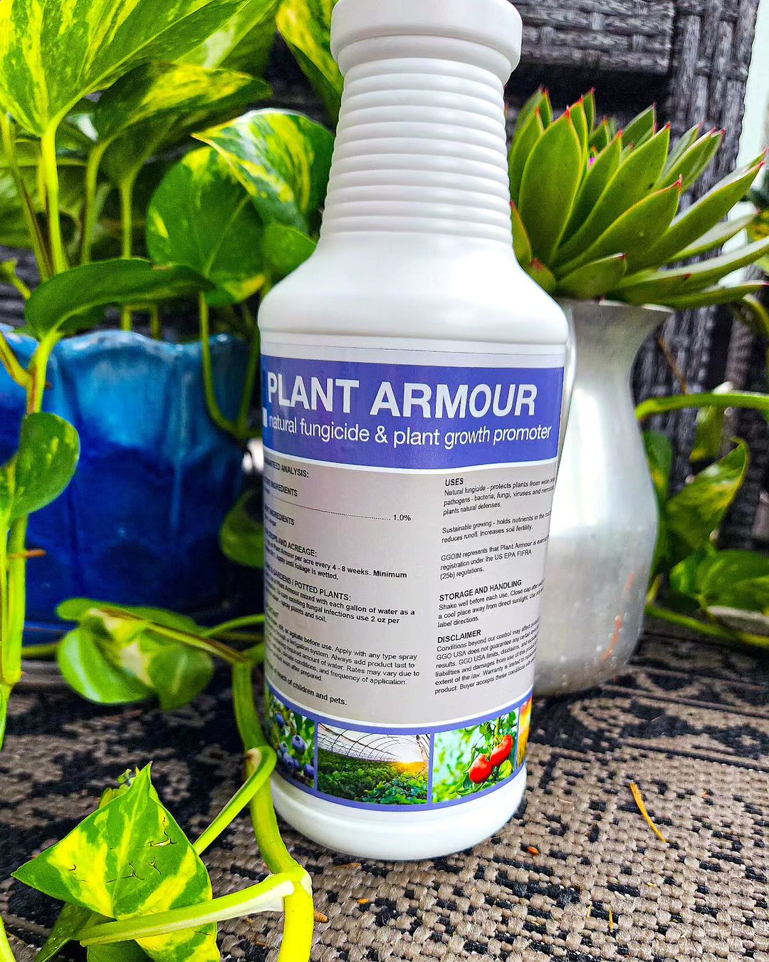 This product is great for fighting off fungal growth. It also promotes plant growth.