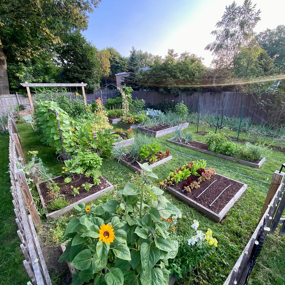 This garden has some beds that are used to grow different types of vegetables.