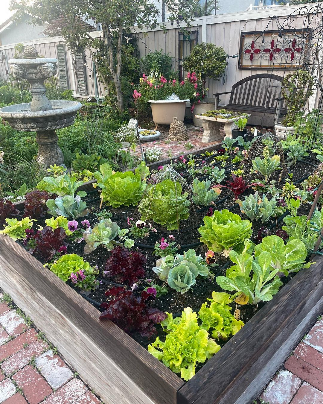 The plants here are arranged in such a great distance. All are set well.