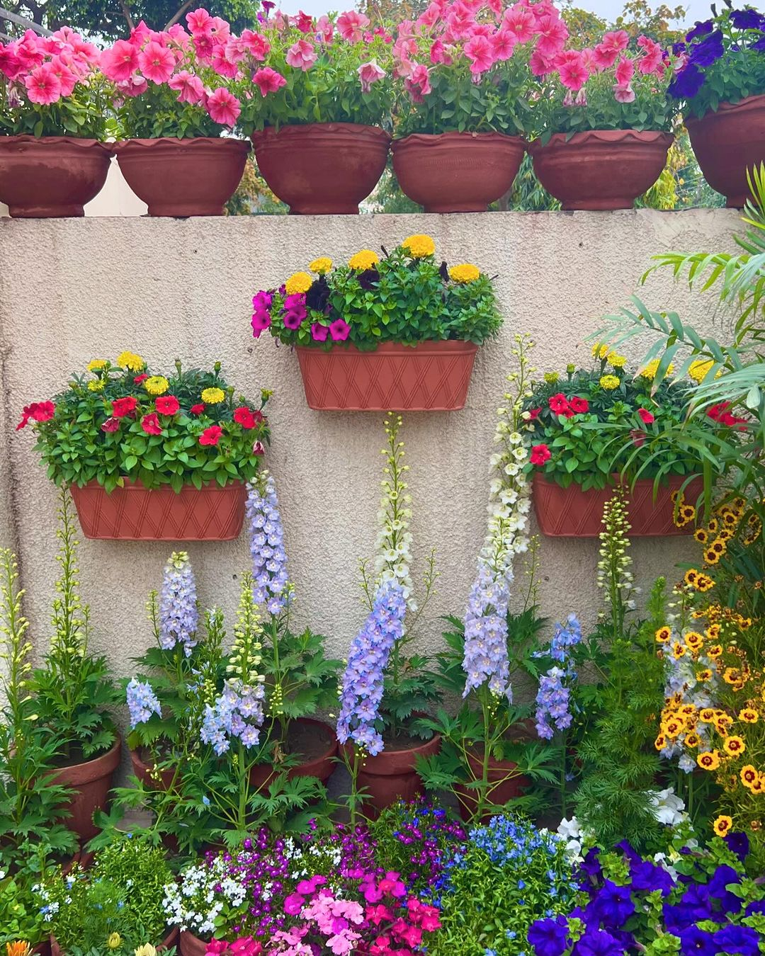Look at how pretty this garden looks like. There are Marigold, a variety of Petunia, Geranium, etc.