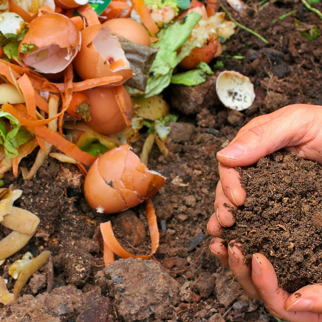 You can use your kitchen waste or food waste to make the compost mulch.