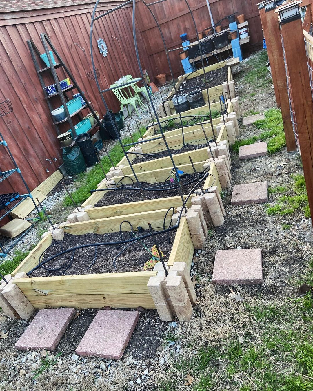 Each of these beds has a good preparation before the vegetable is planted.