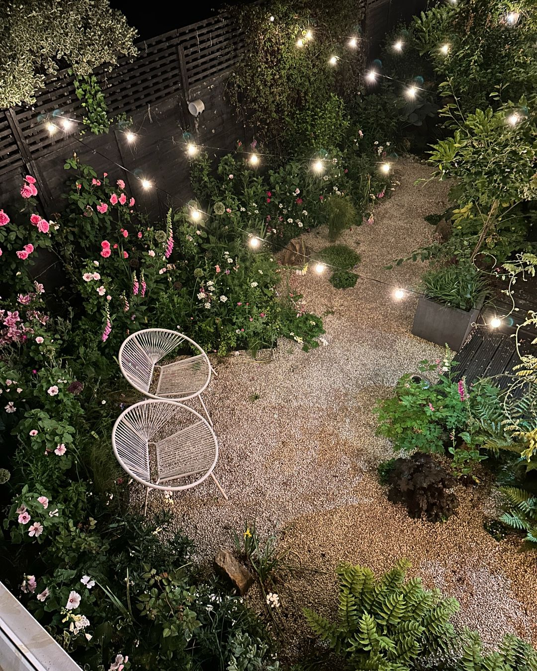 The string light is installed above the yard area with such a great reach.