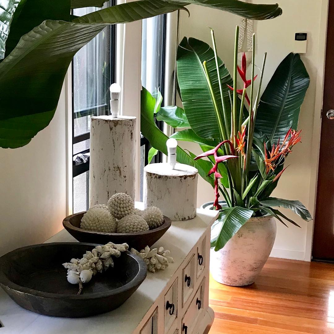 The plants in the corner of the space near the window is such a great choice.