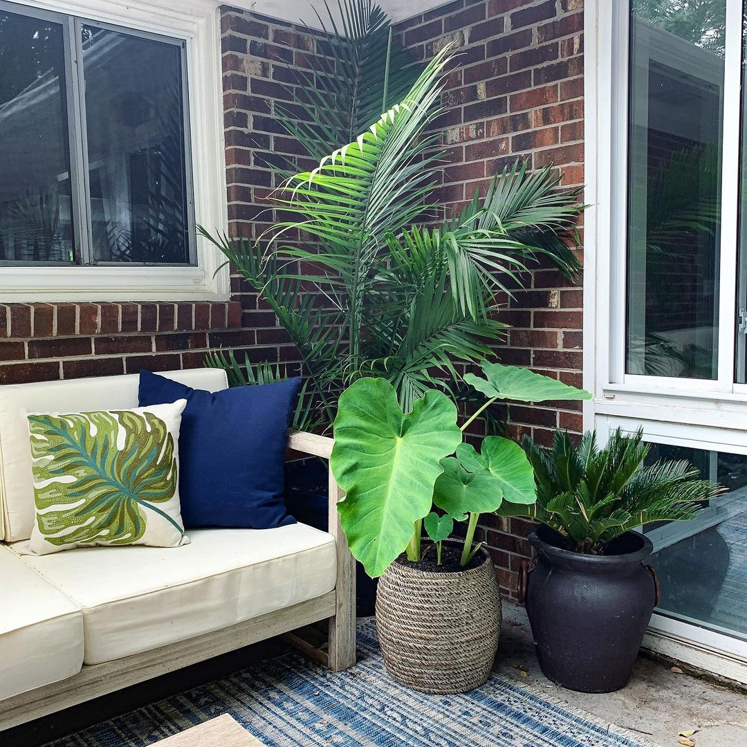 By simply putting some pots of tropical plants and a cushion with tropical pattern, you can create a proper tropical decor.