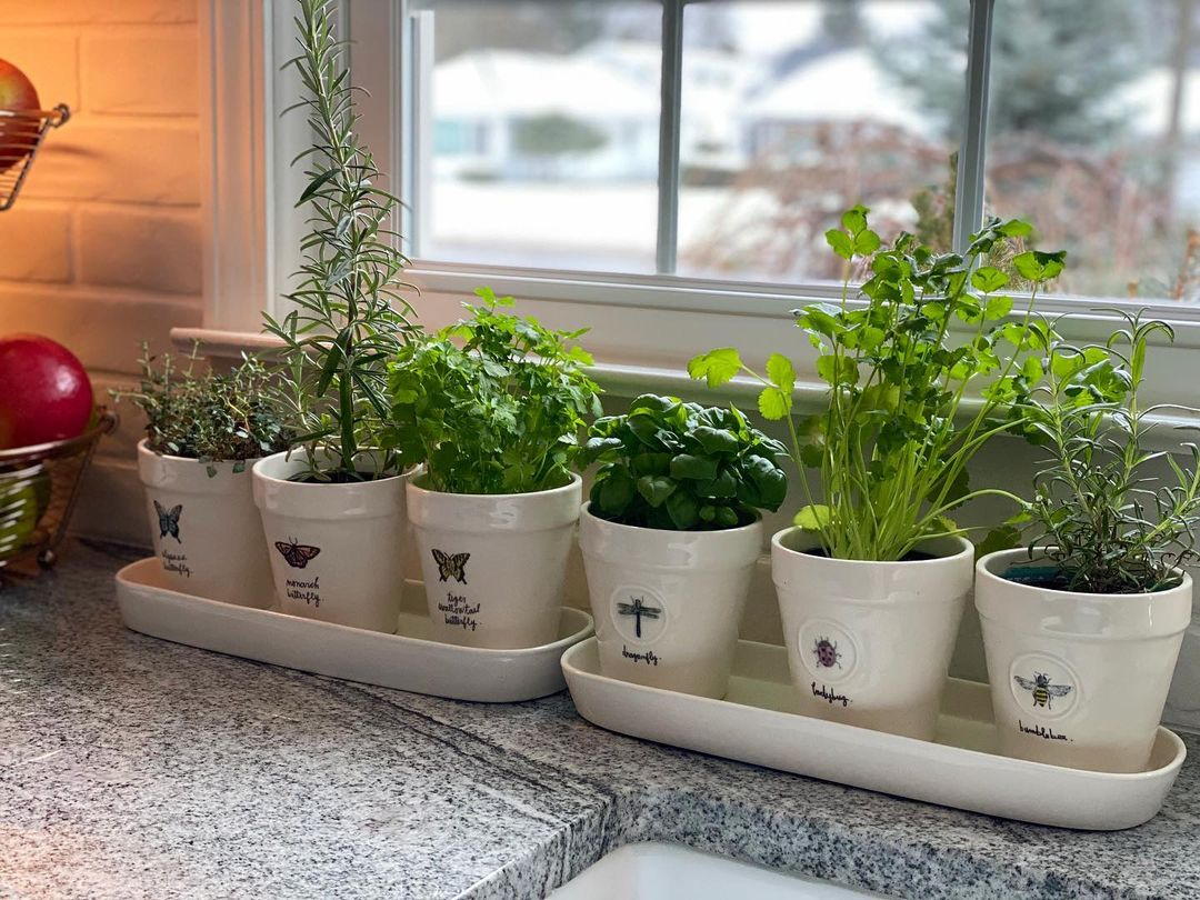 The herbs are planted in harmonious pots with a sleek and clean look.