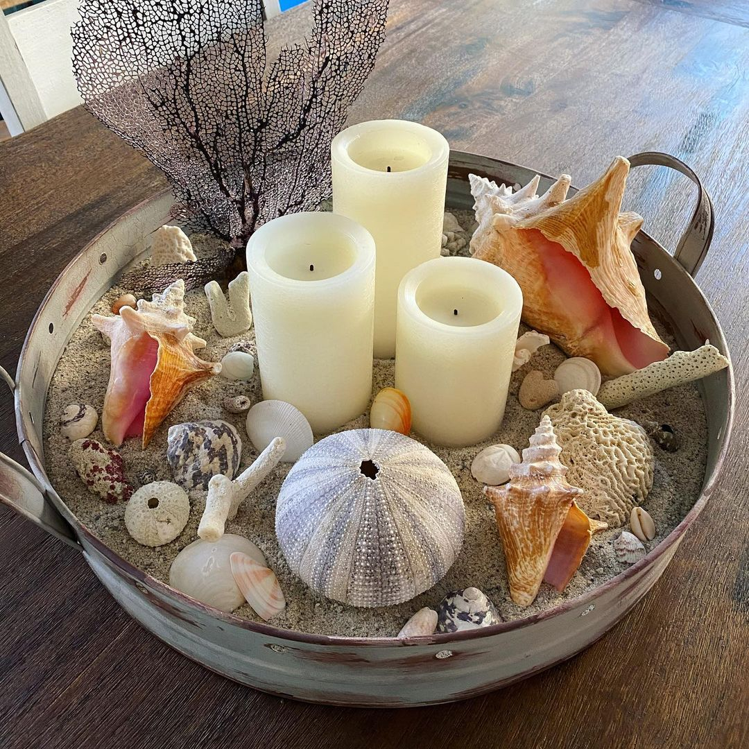 The seashells and corals are being together in a tray that will be such a great decoration for your table, kitchen island, or countertop.