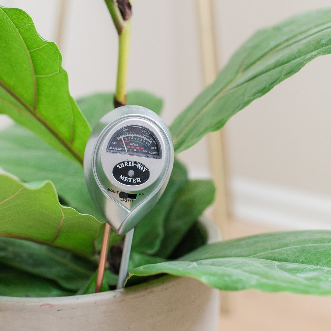 If you want to get a valid measurement, we recommend you use the moisture meter.