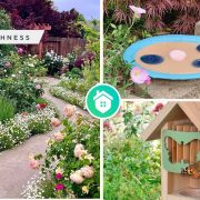 Butterfly garden- how to design the attractive onefi