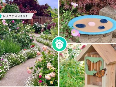 Butterfly garden- how to design the attractive onefi