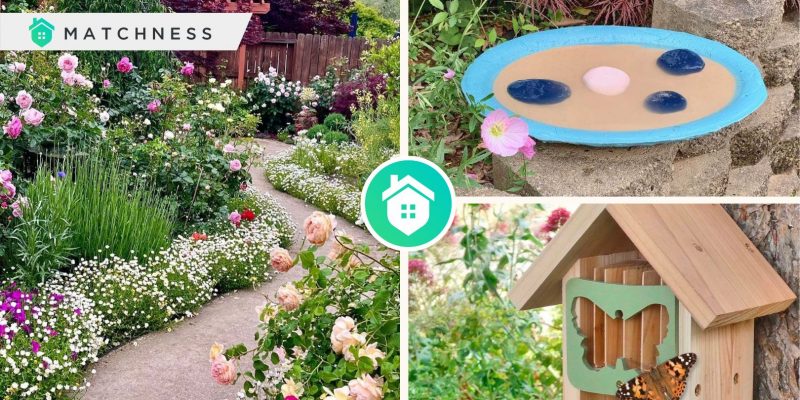 Butterfly garden- how to design the attractive onefi