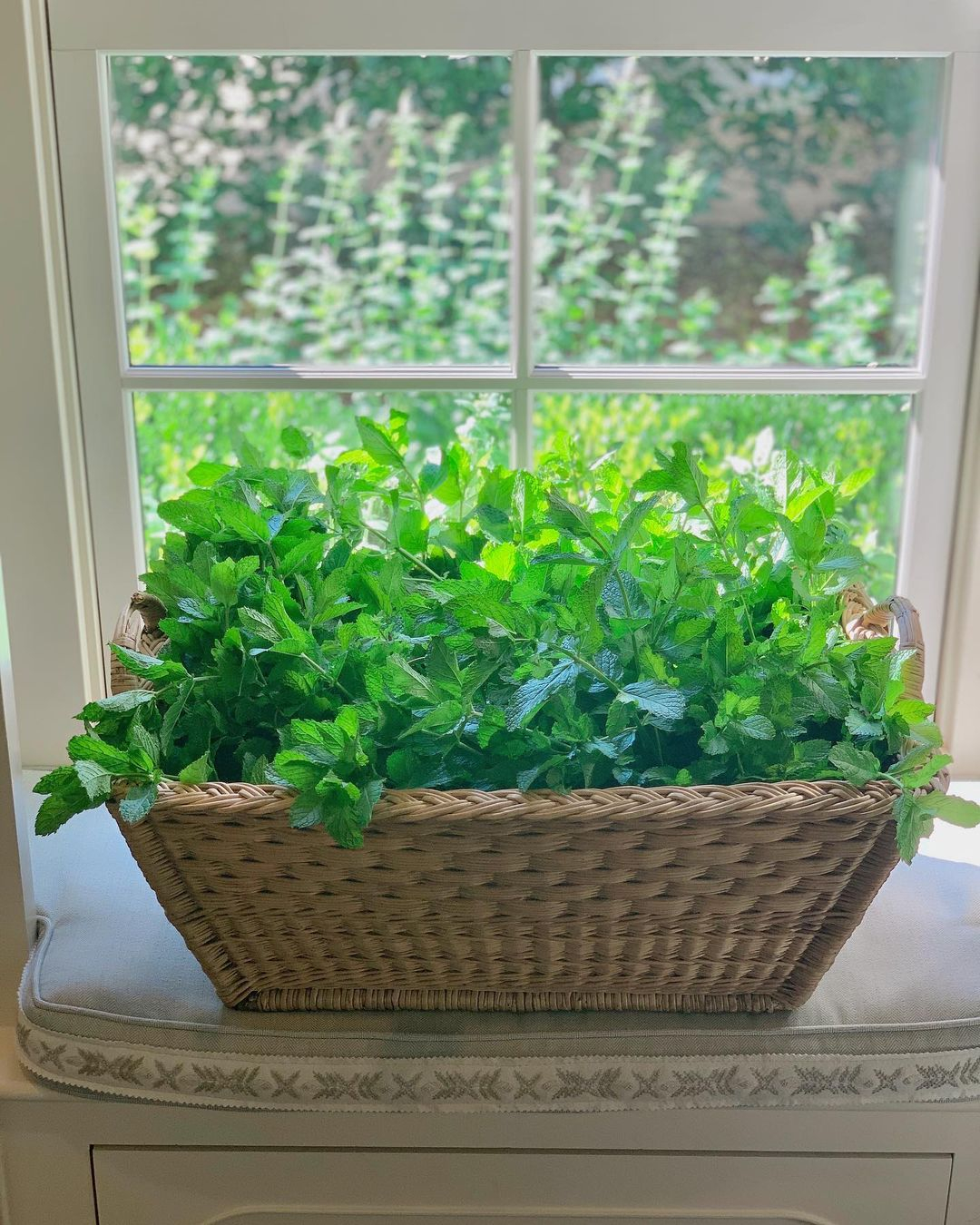 Growing the mint in the pot and setting the pot inside the rattan basket like this is such a great idea.