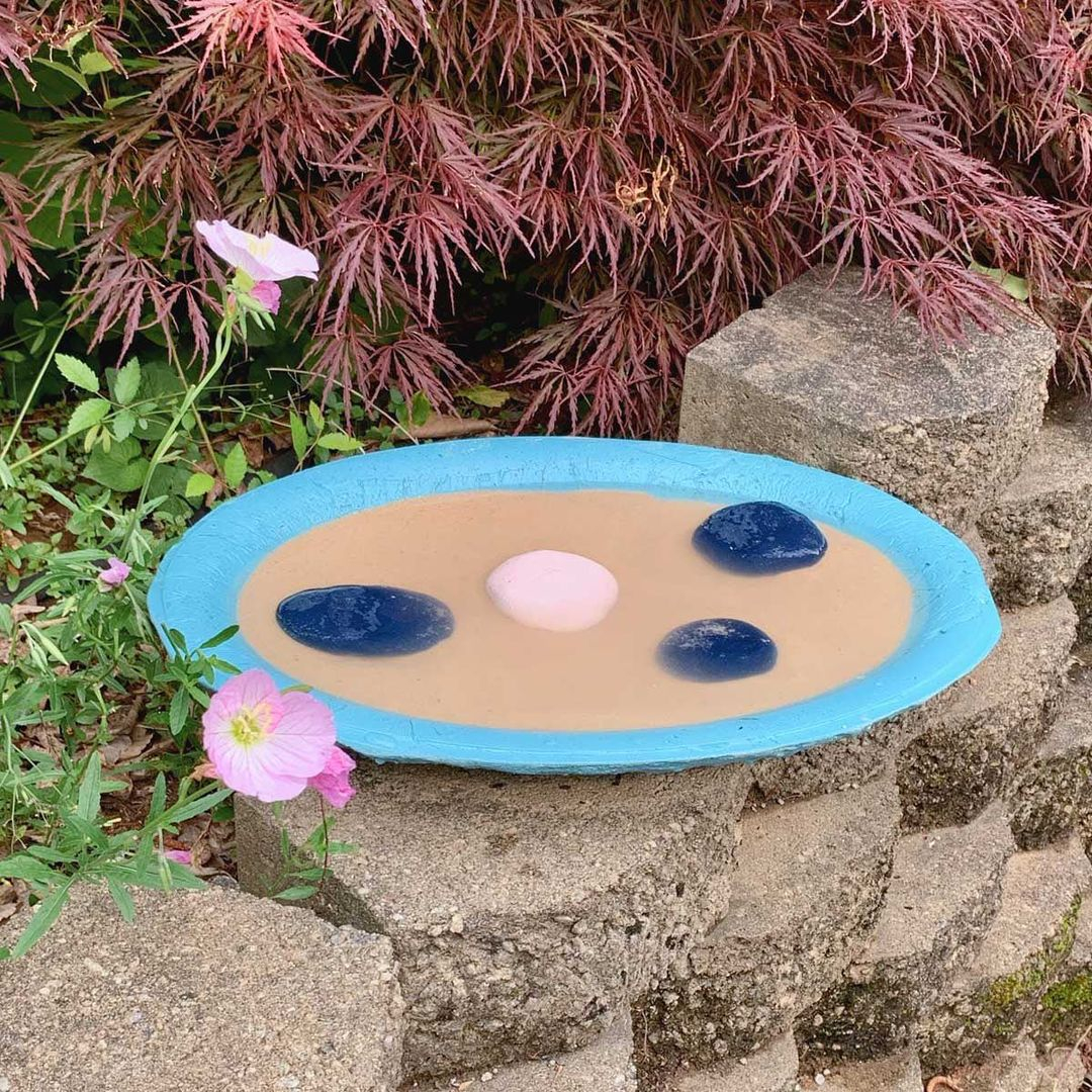 This water source is shaped like a plate which is wide enough for the butterflies.
