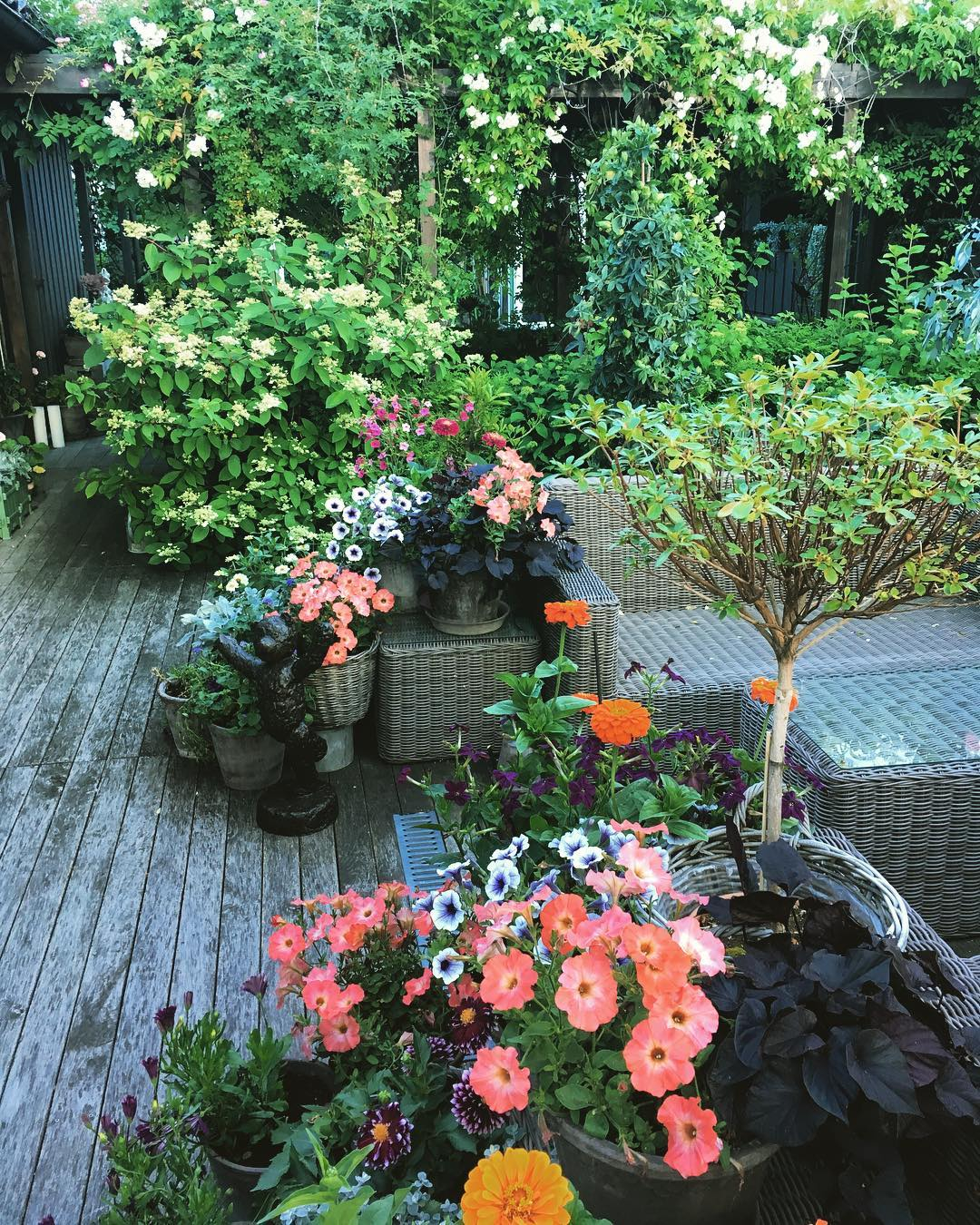 There are two sides to the annual plant set. Each of the sets has completely varied plants that make it look balanced.