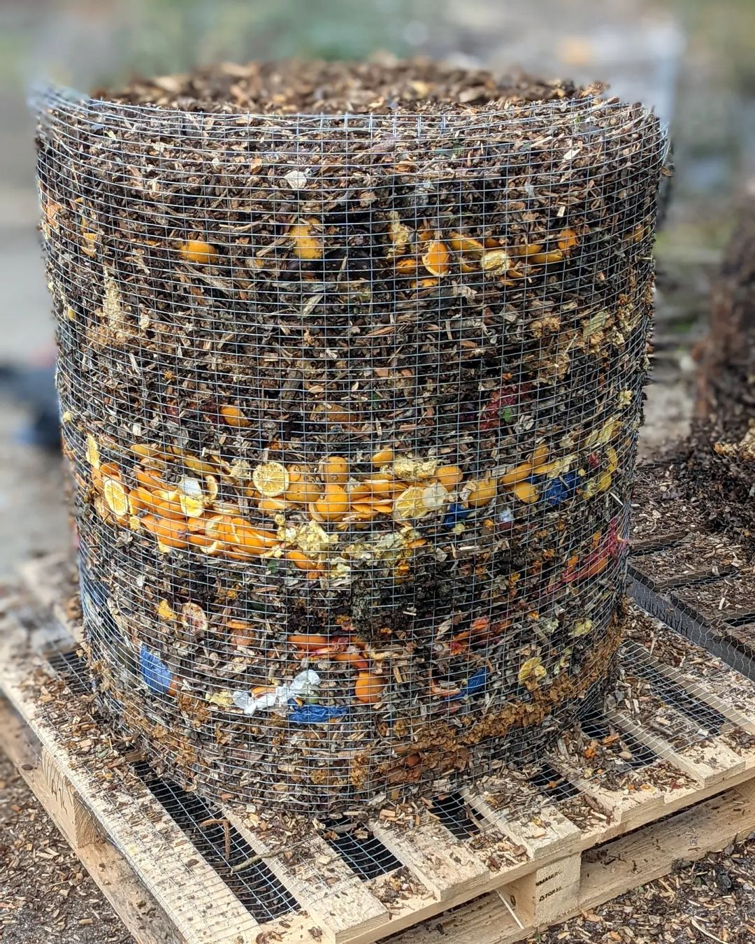 You can see the layer that this bin has to create such a great compost. 