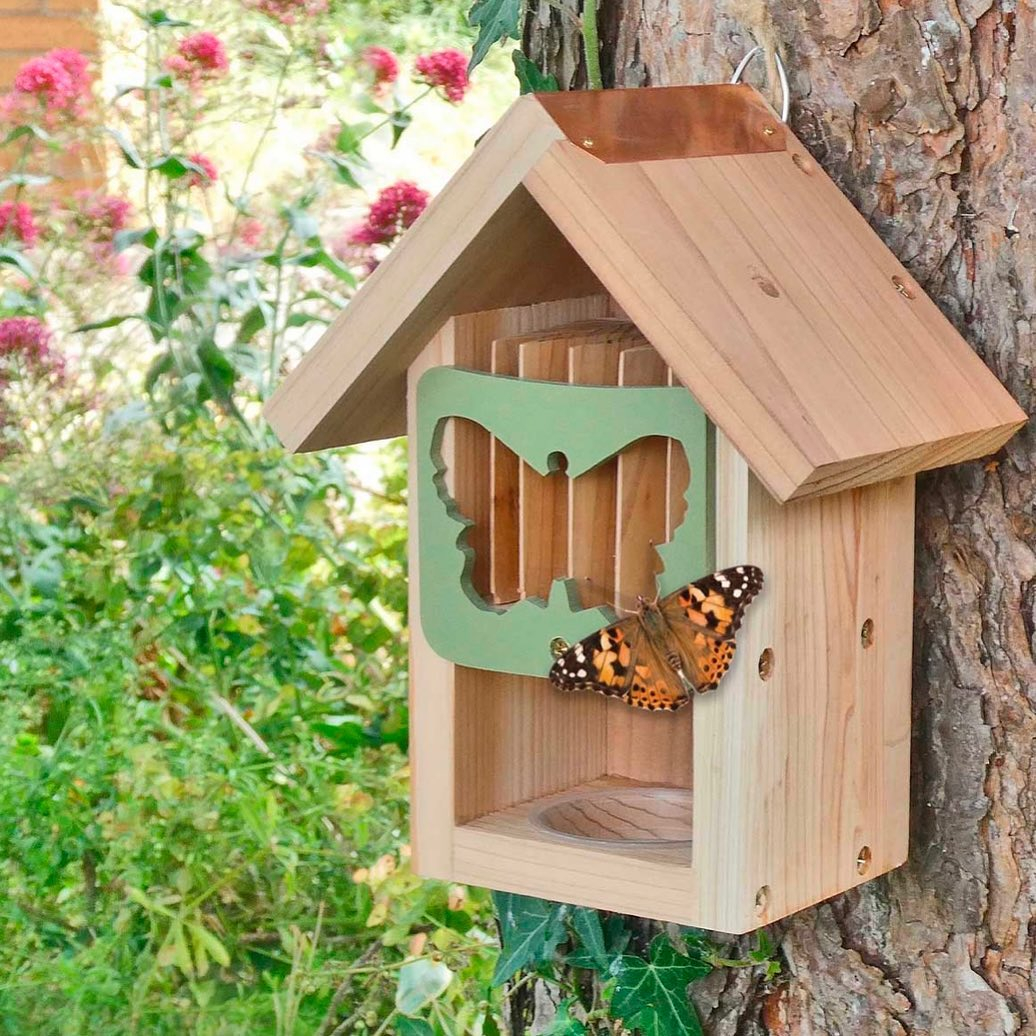 This shelter is designed with a spot to stay still and even to hide. You can see the bottom part and the upper part with the borders. 