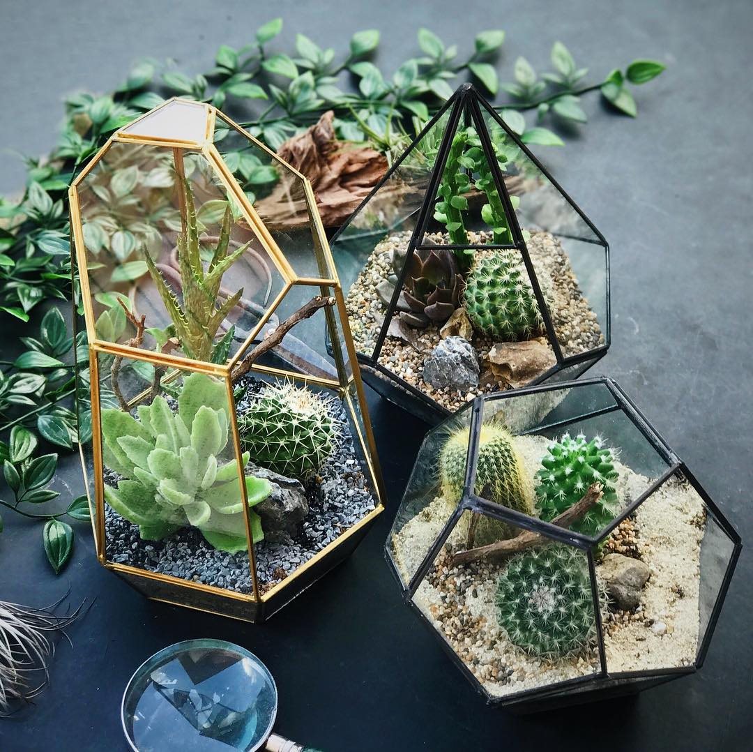 Look at how adorable these flower arrangements look. It has a simple design and is modern with sleek lines and color.