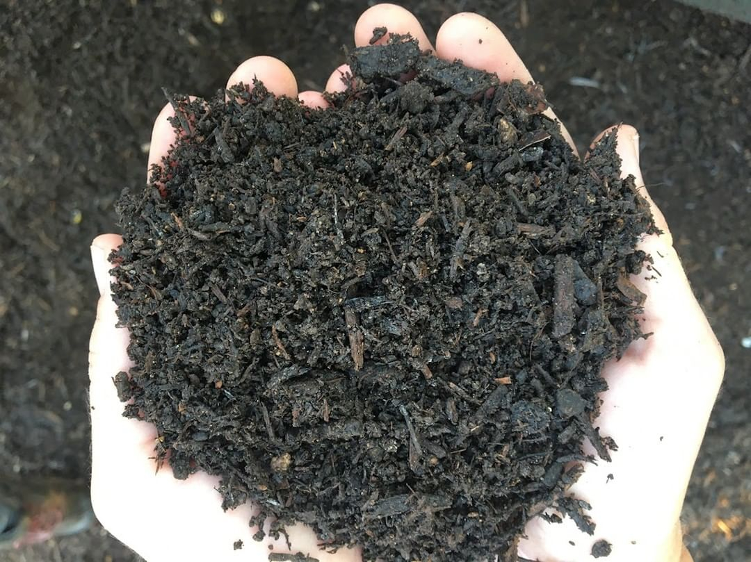 Here is the look of the finished compost. It is in black color as it is mentioned as the black gold.