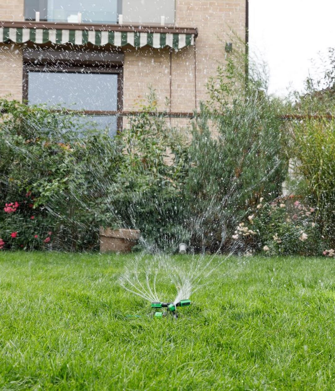 Watering the lawn by using this too can make you water it evenly. You don't need to move it because it will move it itself.