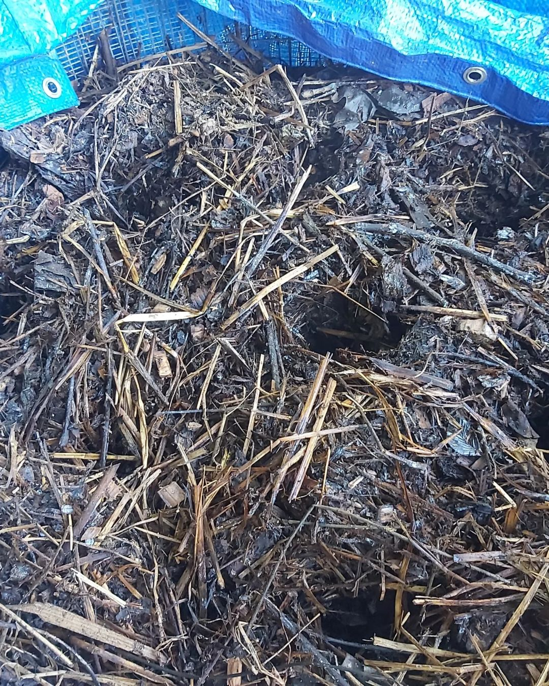 The aeration is an easy process since you just have to create holes like this. 